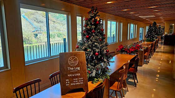 카페더로그앤통나무집