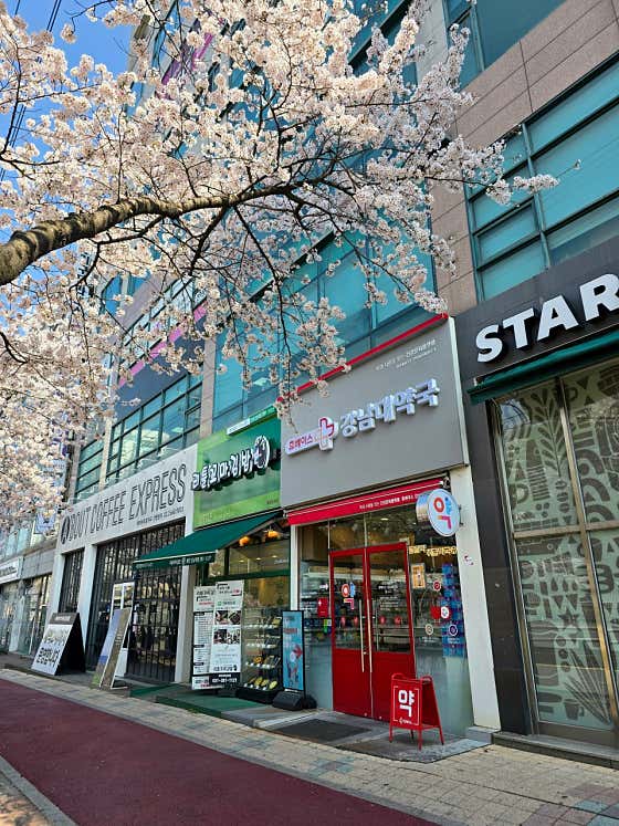 강남대약국