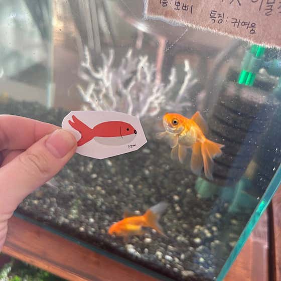 귀여움 메뉴 사진(네이버)