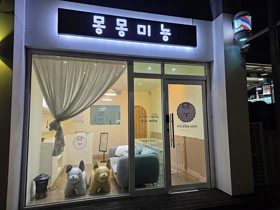 몽몽미뇽
