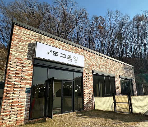 도그온잇 반려견유치원 교육 독피트니스 대표이미지