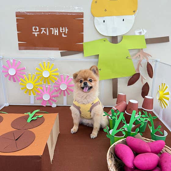 무지개 · 네이버 지도·플레이스 3