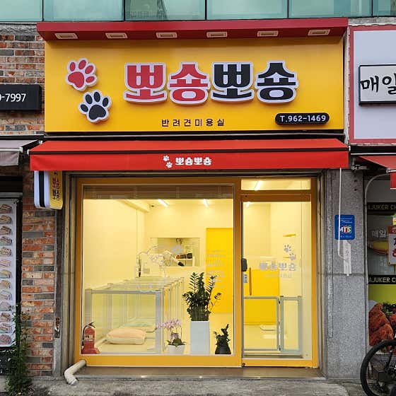 뽀숑뽀숑
