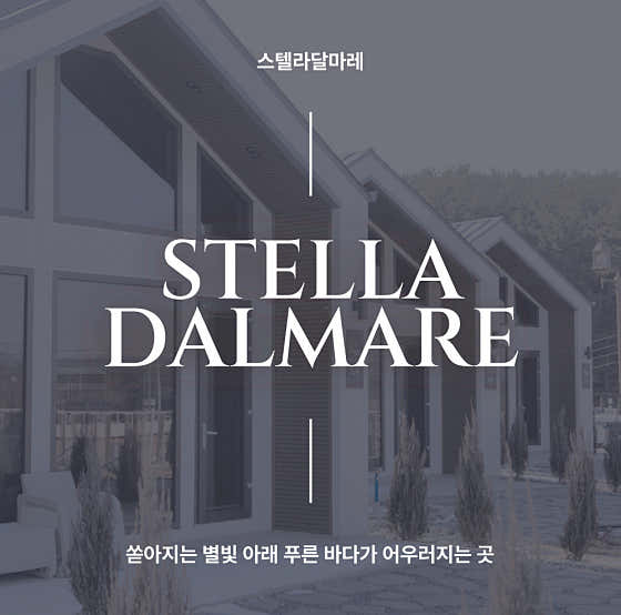 스텔라달마레 대표이미지