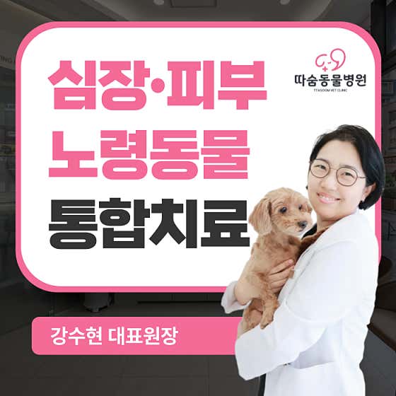 위례따숨동물병원 대표이미지