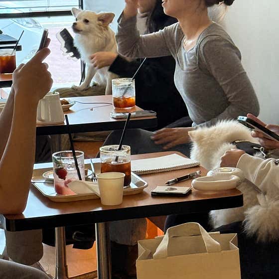 카포커피클럽 · 네이버 지도·플레이스 8