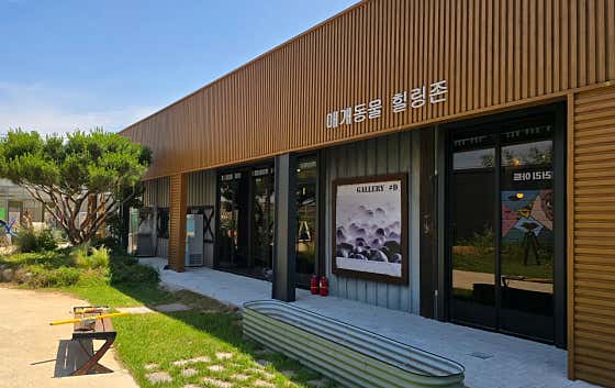 아트힐링팜 카페 · 네이버 지도·플레이스 3