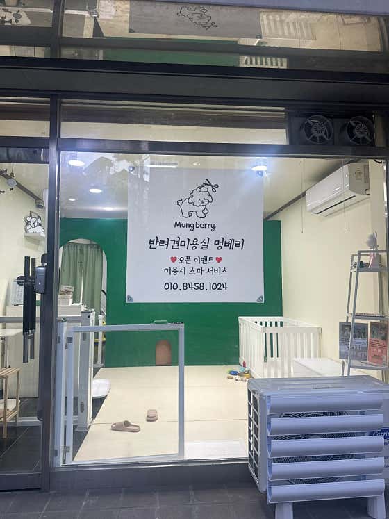 멍베리 · 네이버 지도·플레이스 7