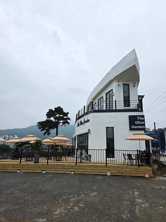 디올리브가든 · 네이버 지도·플레이스 6