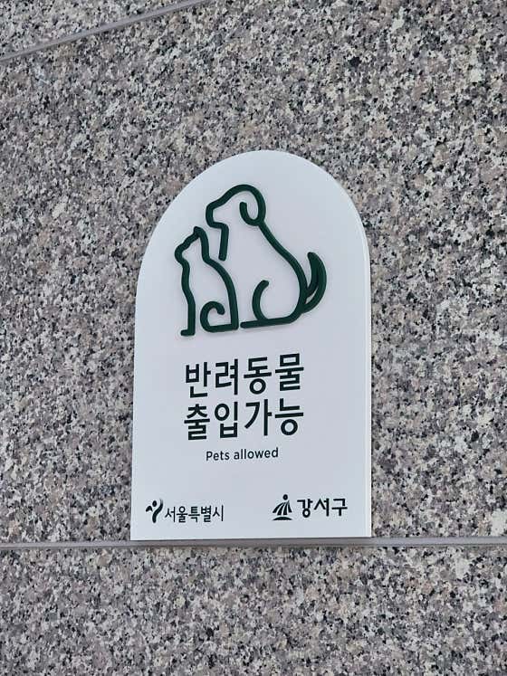 더왓에버 · 네이버 지도·플레이스 8