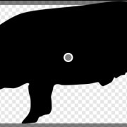 미박/생 삼겹살 180g 메뉴 사진(네이버)