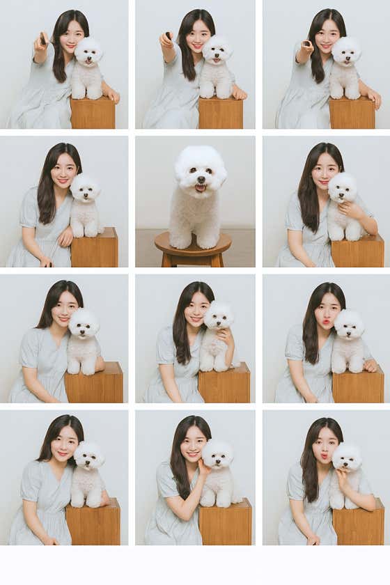 애견 촬영 메뉴 사진(네이버)