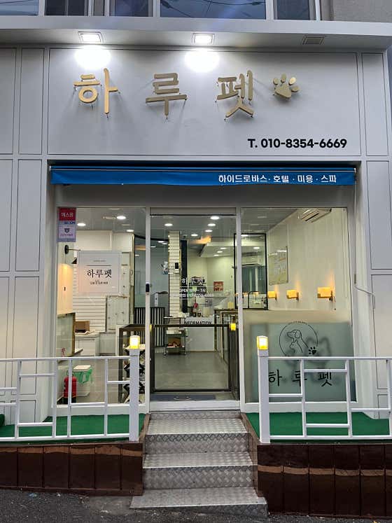 하루펫 · 네이버 지도·플레이스 10
