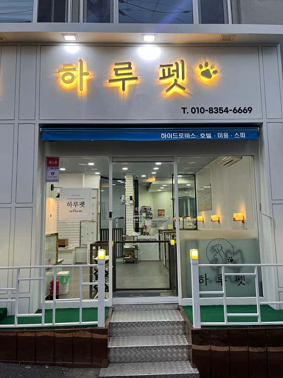 하루펫