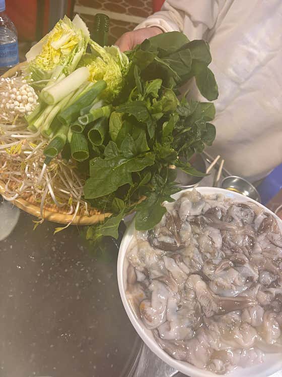 별빛일번지