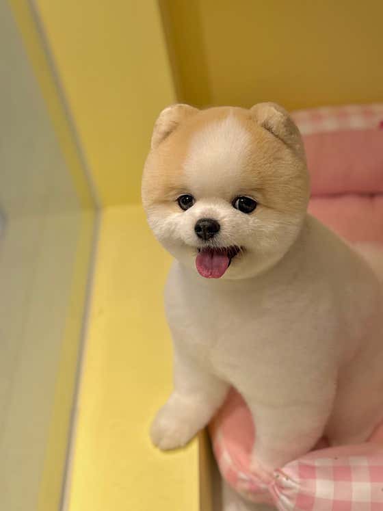 꿈몽 · 네이버 지도·플레이스 7