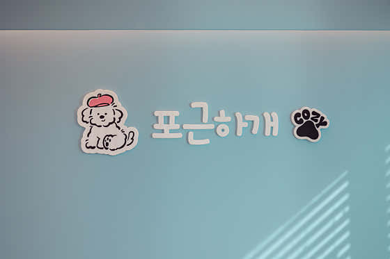 포근하개 대표이미지