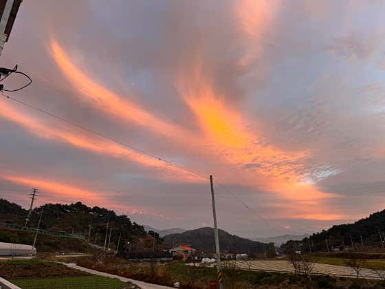 작은파도 · 네이버 지도·플레이스 3
