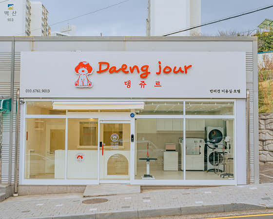 댕쥬르 대표이미지