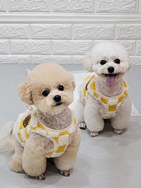 로로하우스