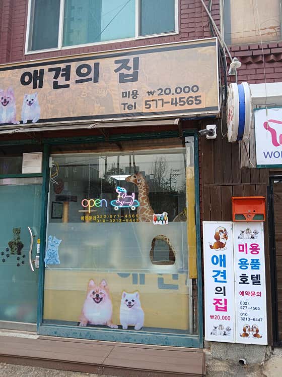 애견의집 · 네이버 지도·플레이스 2