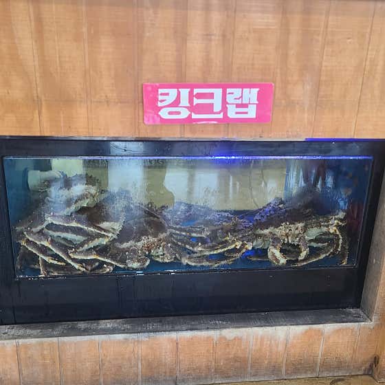 미스터크랩 앤 미스커피 · 네이버 지도·플레이스 6