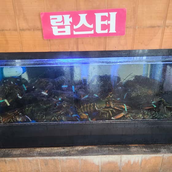 미스터크랩 앤 미스커피 · 네이버 지도·플레이스 7