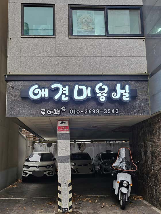 루이펫샵 · 네이버 지도·플레이스 2