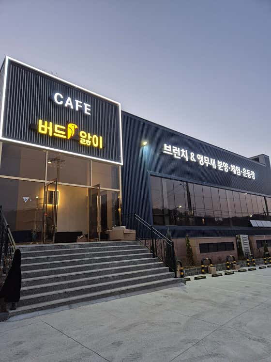카페버드앓이