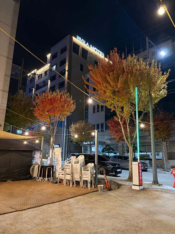 생활맥주 안동강남점 · 네이버 지도·플레이스 7