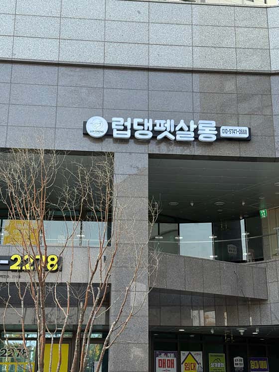 럽댕펫살롱 · 네이버 지도·플레이스 3