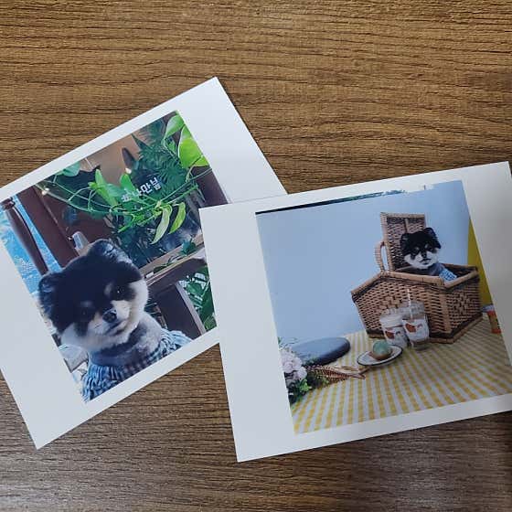 나만,봄 카페 · 네이버 지도·플레이스 4