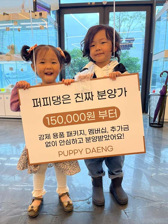 청주강아지분양 고양이분양 퍼피댕 안심입양분양소 청주점