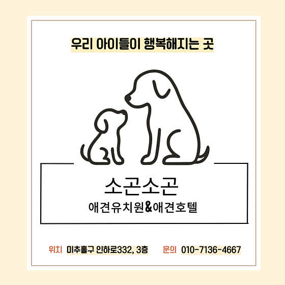 소곤소곤 애견유치원&애견호텔 대표이미지