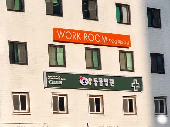 호동물병원 대표이미지