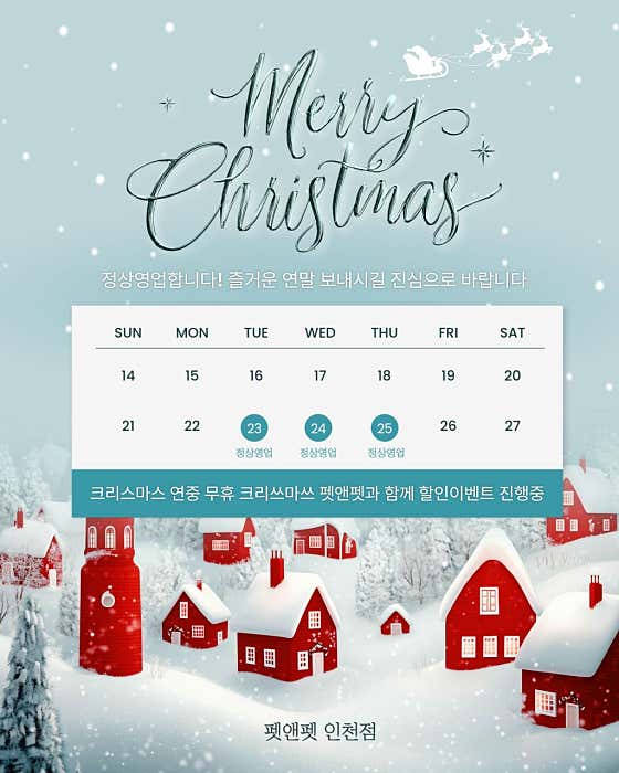 강아지분양 펫앤펫 인천본점 · 네이버 지도·플레이스 2