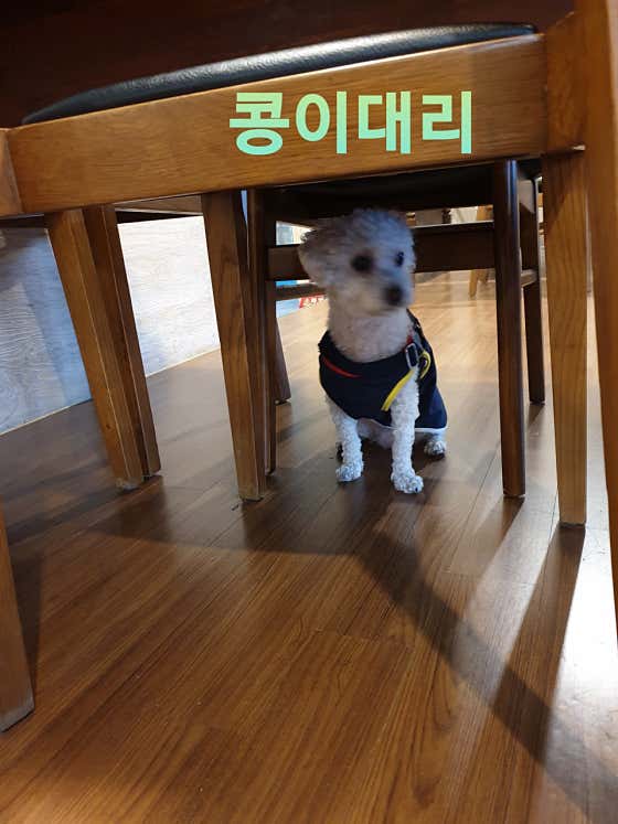 착한커피 호산동 · 네이버 지도·플레이스 8