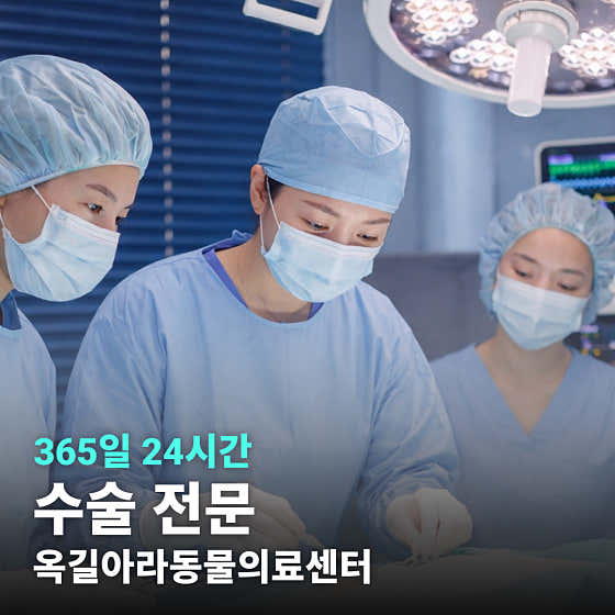 24시 옥길아라동물의료센터 대표이미지