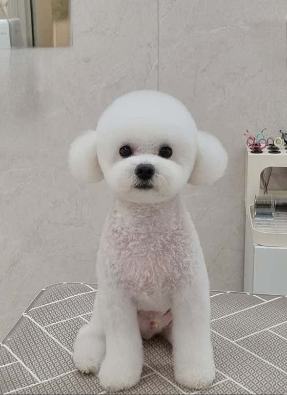 하이테디 · 네이버 지도·플레이스 9