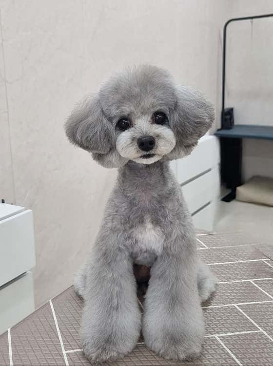 하이테디 · 네이버 지도·플레이스 7