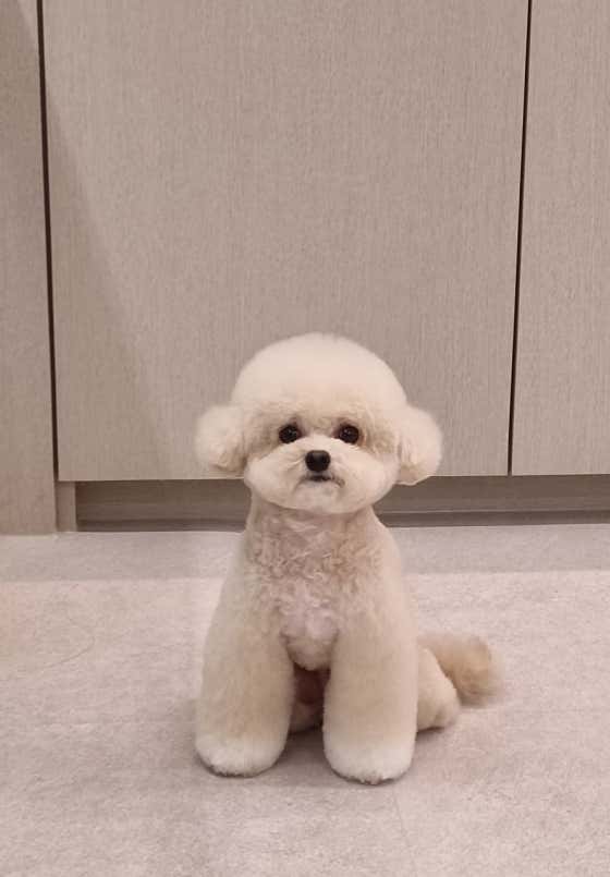 하이테디 · 네이버 지도·플레이스 5
