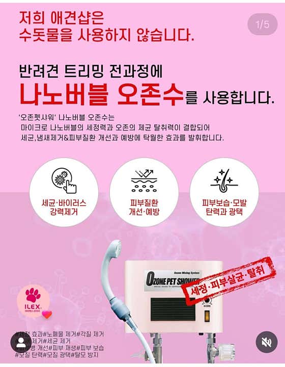 털뭉치 반려견미용실 · 네이버 지도·플레이스 2