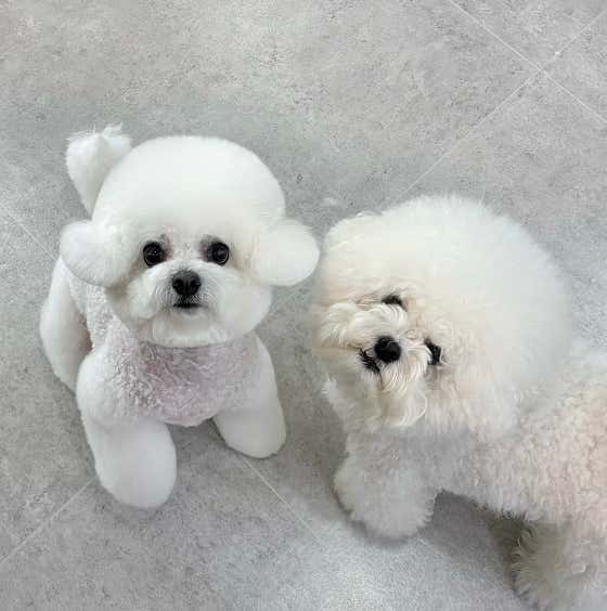 무거동 봄이네 · 네이버 지도·플레이스 2