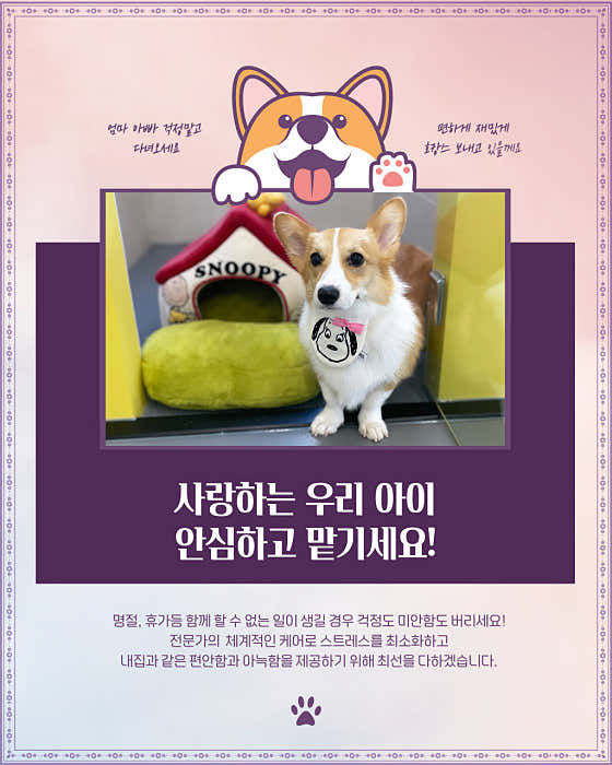 오프독 반려견 종합교육문화센터 · 네이버 지도·플레이스 7