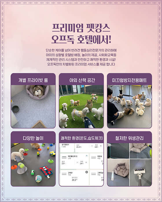 오프독 반려견 종합교육문화센터 · 네이버 지도·플레이스 8