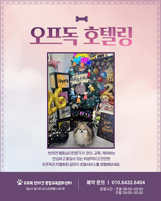 오프독 반려견 종합교육문화센터 · 네이버 지도·플레이스 2