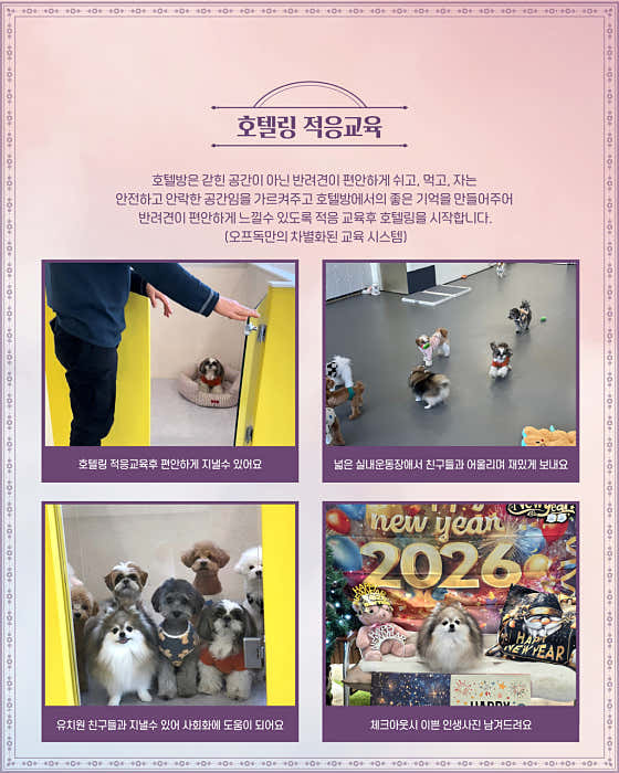 오프독 반려견 종합교육문화센터 · 네이버 지도·플레이스 9