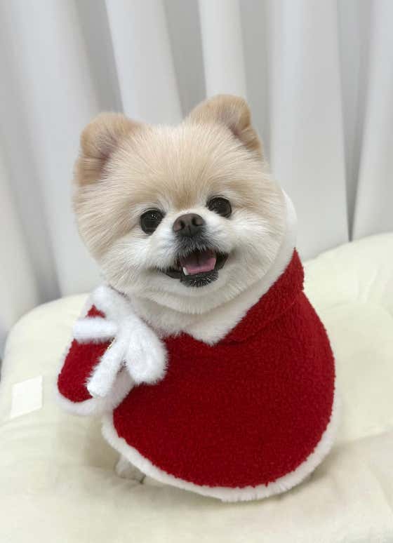 비니퍼피 · 네이버 지도·플레이스 2