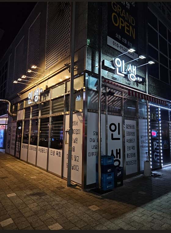 인생