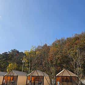 캠프달링 사진